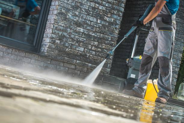 Best Sign and Awning Cleaning  in Level Plains, AL